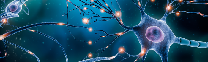 Brain Health graphic